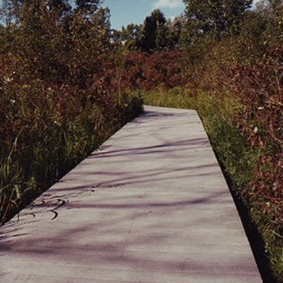 wetlands walkway in Grand Rapids, MI